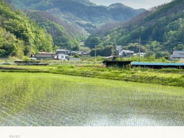 坂井の水鏡を、自転車で駆け抜ける
