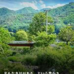 アスファルトを割って、花がふき出す