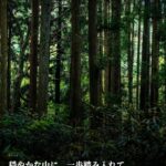 この夕焼けは、世界とつながっている