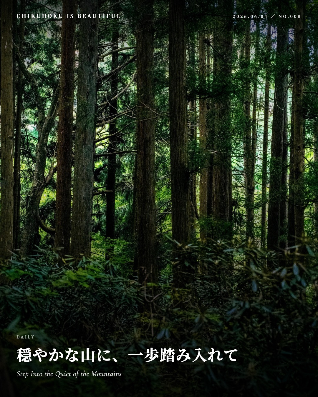 穏やかな山に、一歩踏み入れて