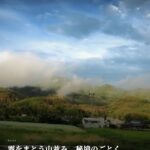 小さな石仏が、ほほえむ森で