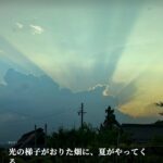 少しずつ伸びる苗を、毎日見られる暮らし