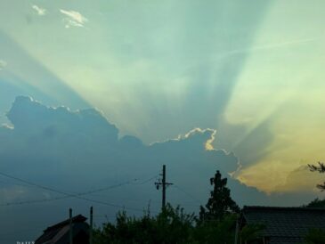 光の梯子がおりた畑に、夏がやってくる