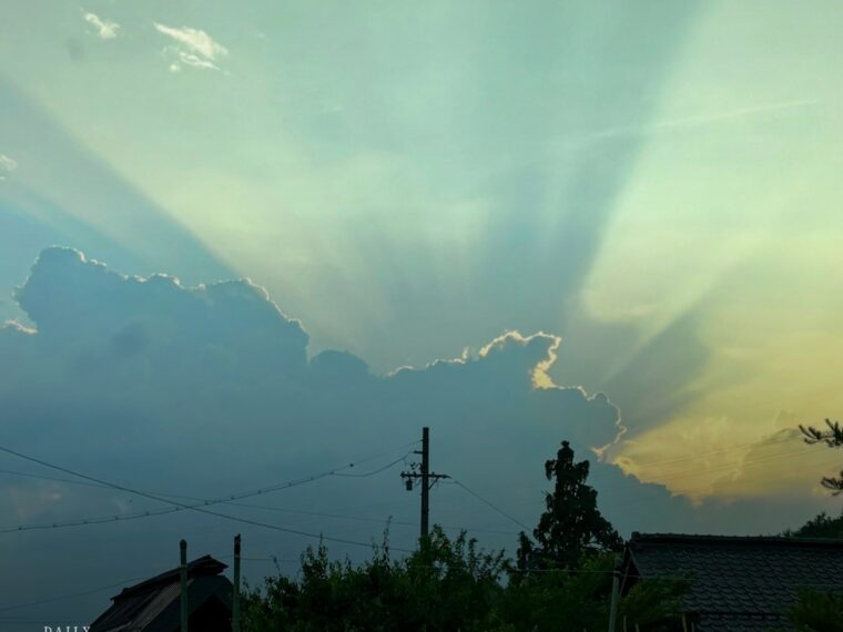 光の梯子がおりた畑に、夏がやってくる