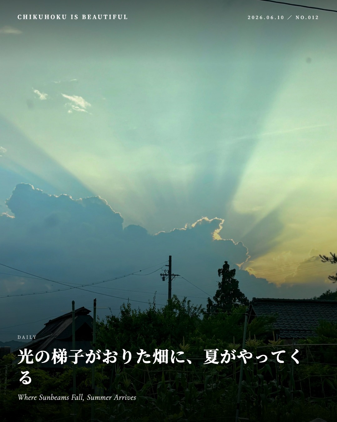 光の梯子がおりた畑に、夏がやってくる