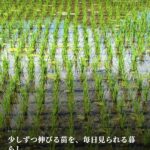 電車を待つあいだ、北アルプスが見ている