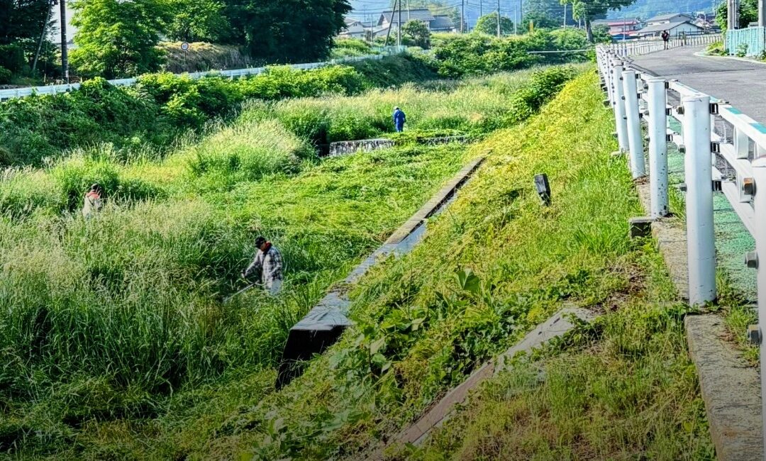 草を刈る背中を、子どもは見ている