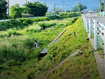 草を刈る背中を、子どもは見ている