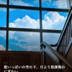 坂井の田に、夏がにじり寄る