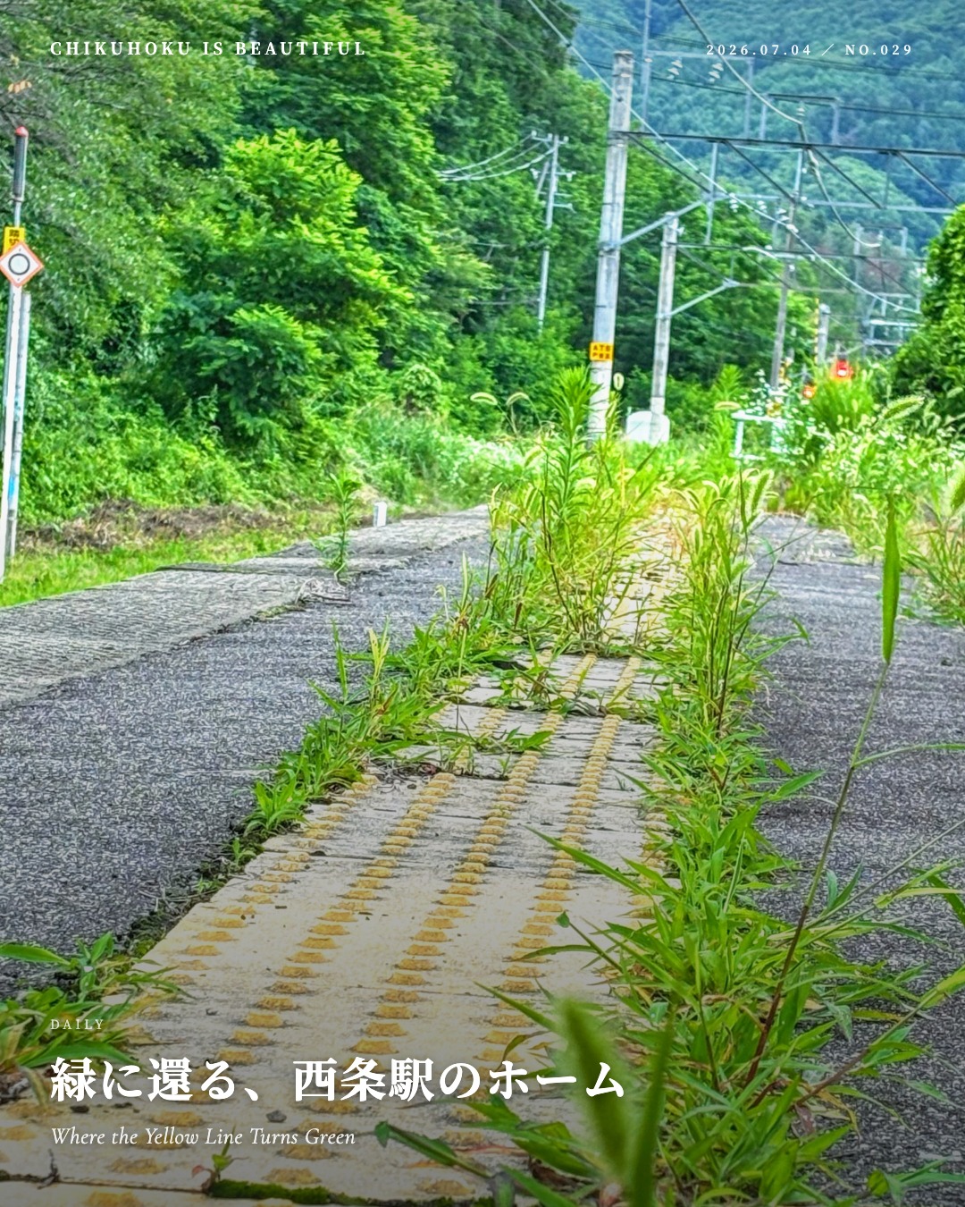 緑に還る、西条駅のホーム