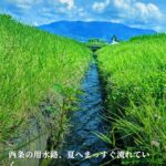 村のそば粉が結ぶ、静かな一杯