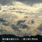 濃くなる緑のなか、紫陽花が涼を分ける