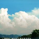 青田を、風がわたってゆく